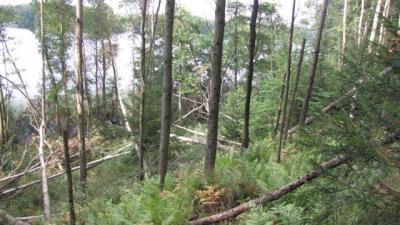 img_0599.jpg